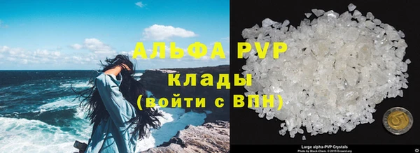 МДПВ Бородино