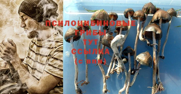 первитин Бугульма