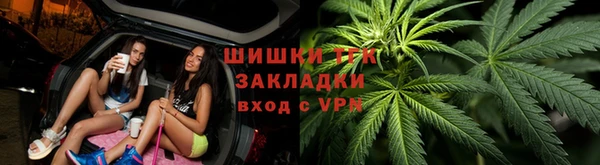 МДПВ Бородино