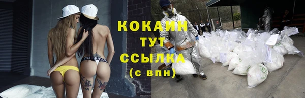 МДПВ Бородино
