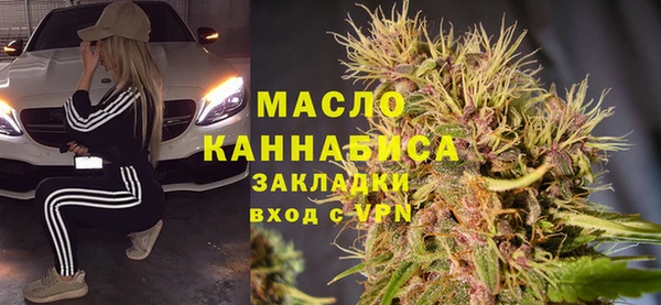 МДПВ Бородино