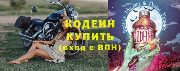 МДПВ Бородино