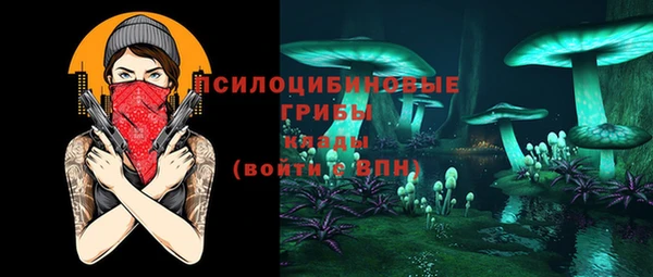 МДПВ Бородино
