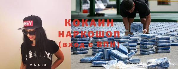 МДПВ Бородино